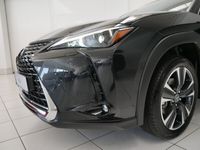 gebraucht Lexus UX 250h Style Edition 1.4kWh Aut.
