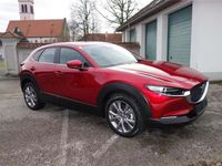 gebraucht Mazda CX-30 G122 Comfort+