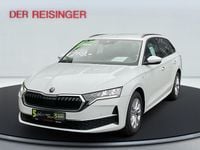 gebraucht Skoda Octavia Kombi Selection DSG