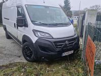 Gebraucht Fiat Ducato 160 PS (117 kW) 2021 Van