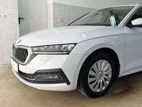 Gebraucht Skoda Octavia Business Line 116 PS (85 kW) 2020 Weiß Kombi