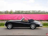 gebraucht Jaguar XK 140 DHC