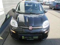 Gebraucht Fiat Panda 71 PS (52 kW) 2024 Schwarz Kleinwagen