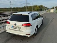 gebraucht VW Golf VII 