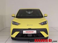 gebraucht BYD Dolphin Surf Boost