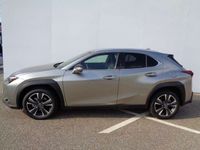 gebraucht Lexus UX 250h Style Edition 1.4kWh Aut. FLA KAM