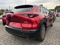 gebraucht Mazda CX-30 e-Skyactive G140 Homura Aut.