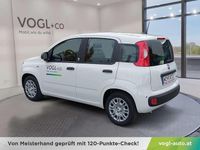 Gebraucht Fiat Panda 71 PS (52 kW) 2025 Weiß Kleinwagen