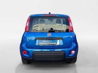 gebraucht Fiat Panda MY24 (Serie 7)-319.1NH.7