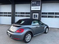 gebraucht VW Beetle Cabrio TSI Blue Motion