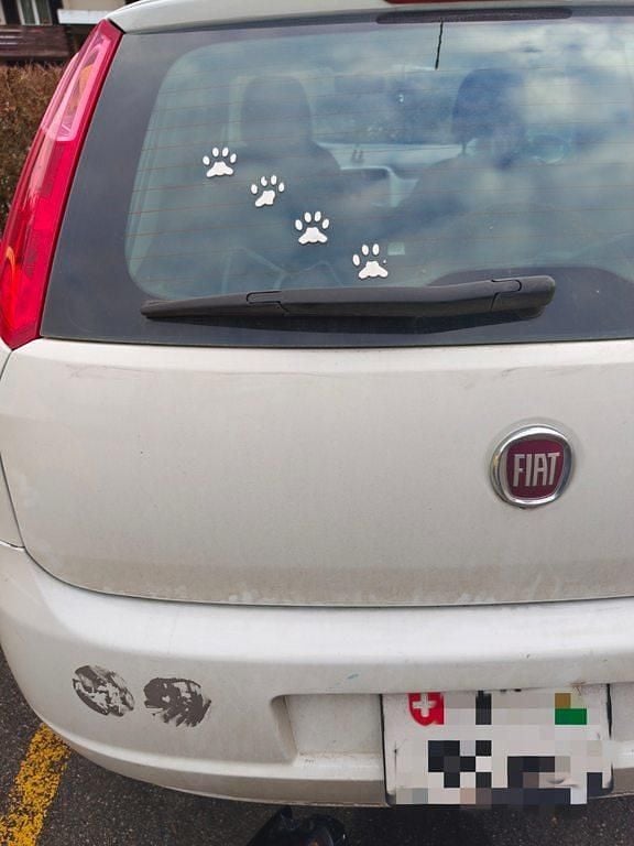 Gebraucht 2013 Fiat Punto Pop Star Limousine | CHF 1’500 (Superpreis) - Bild 1/4