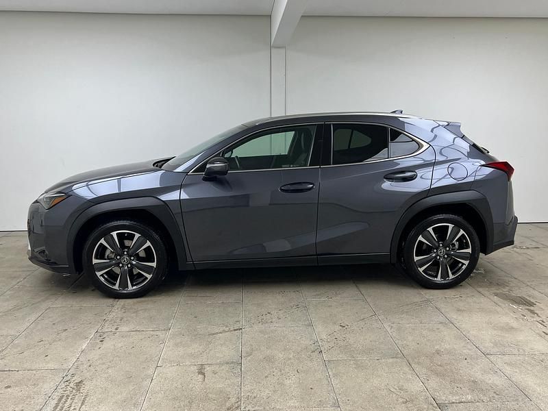 Gebraucht Lexus UX 250h 184 PS (135 kW) 2024 Grau SUV