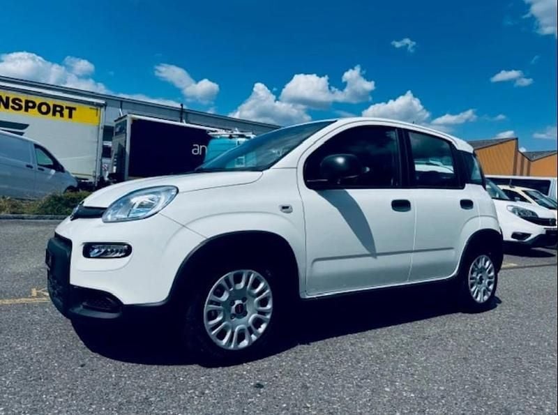 Weiss Gebraucht 2024 Fiat Panda Limousine | CHF 14’525 (Fairer Preis) - Bild 1/4