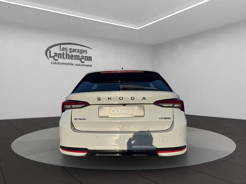 Neu Skoda Octavia Dynamic 150 PS (110 kW) 2026 Grau Kombi