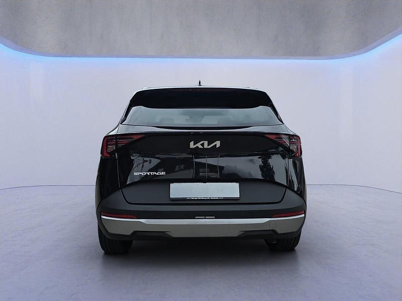 Neu Kia Sportage 180 PS (132 kW) 2025 SUV