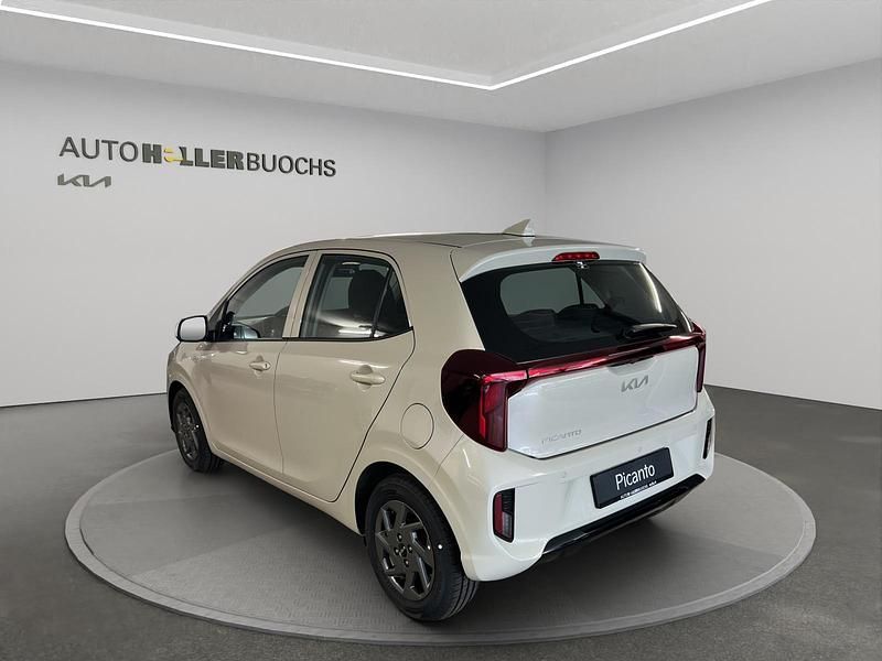 Neu Kia Picanto First Edition 63 PS (46 kW) 2025 Braun Kleinwagen