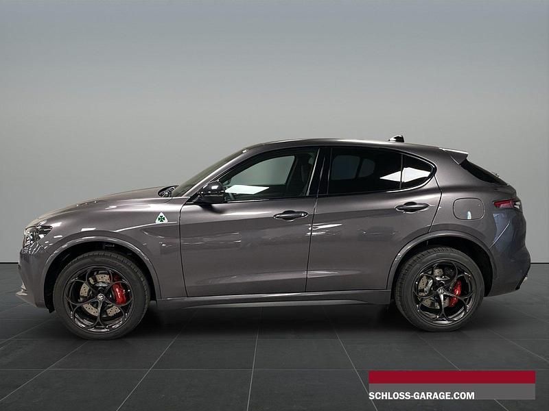 Neu Alfa Romeo Stelvio Quadrifoglio 520 PS (382 kW) 2025 SUV