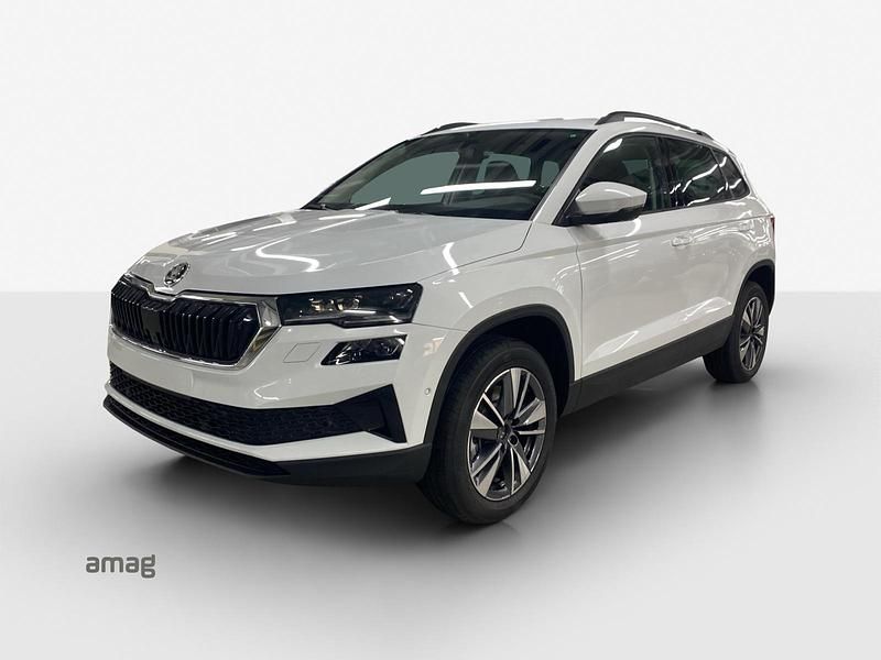 Moon weiss, metallic Neu 2025 Skoda Karoq Dynamic SUV | CHF 41’930 - Bild 1/4