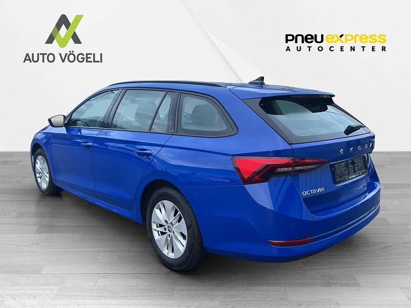 Gebraucht Skoda Octavia Ambition 115 PS (84 kW) 2023 Kombi