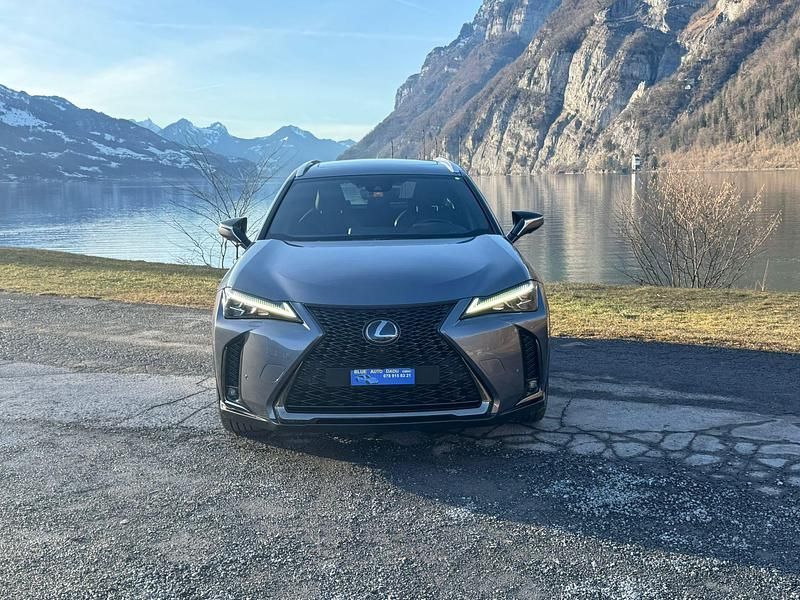Gebraucht Lexus UX 250h Sport Line 183 PS (134 kW) 2019 SUV