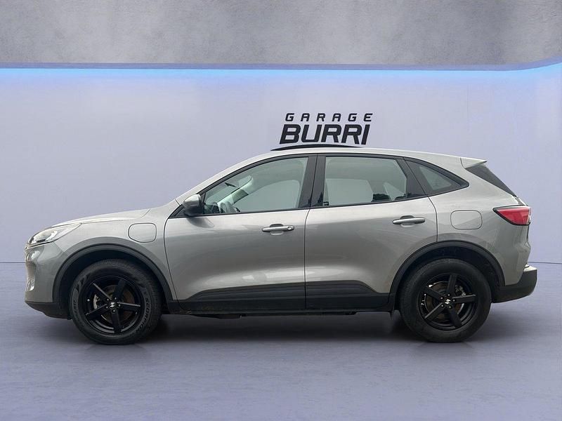 Gebraucht Ford Kuga Cool & Connect 224 PS (164 kW) 2022 SUV