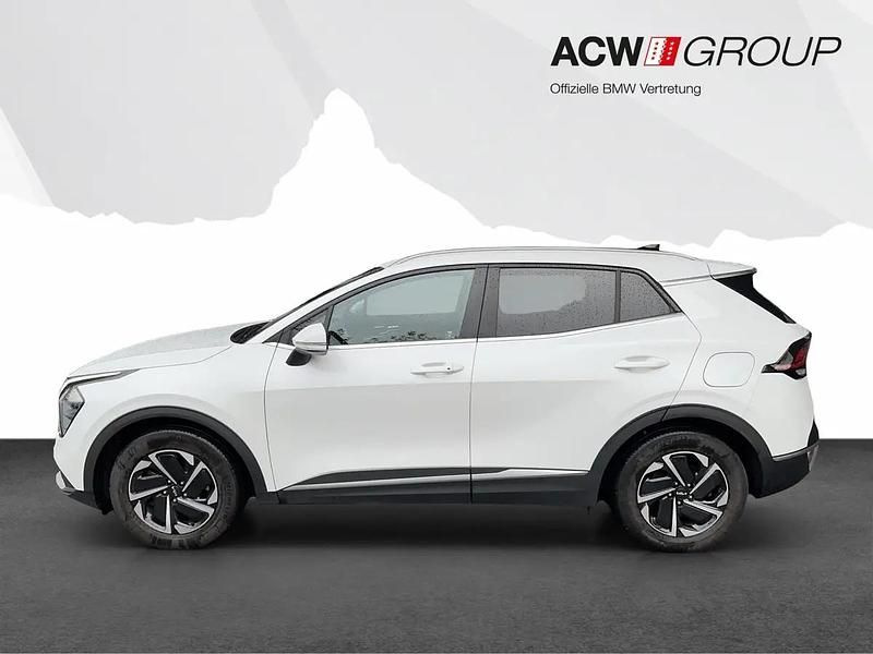 Gebraucht Kia Sportage 150 PS (110 kW) 2025 Weiss SUV