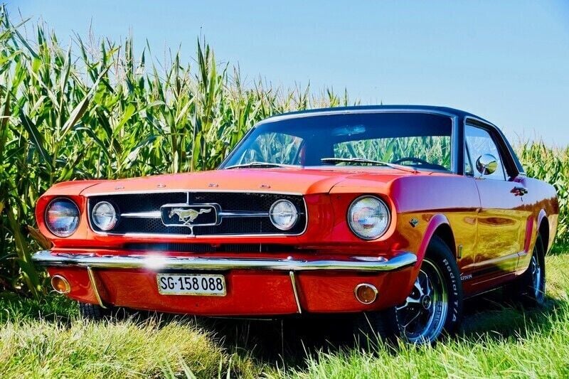 Gebraucht Ford Mustang GT 228 PS (167 kW) 1965 Coupé