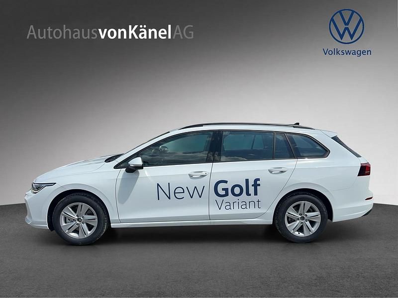 Gebraucht VW Golf VIII Life 150 PS (110 kW) 2024 Weiss Kombi