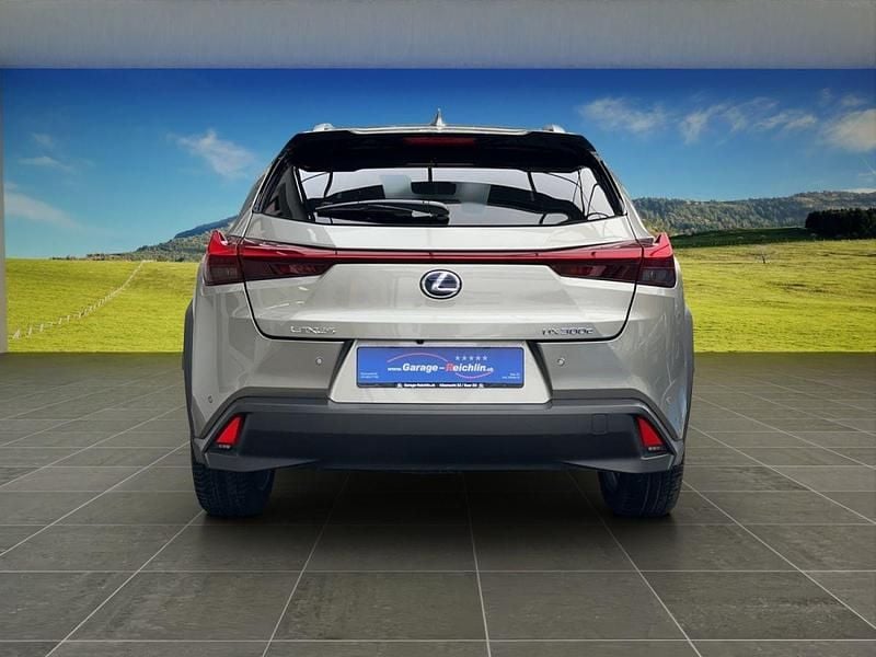 Gebraucht Lexus UX 300e 150 kW (204 PS) 2021 SUV