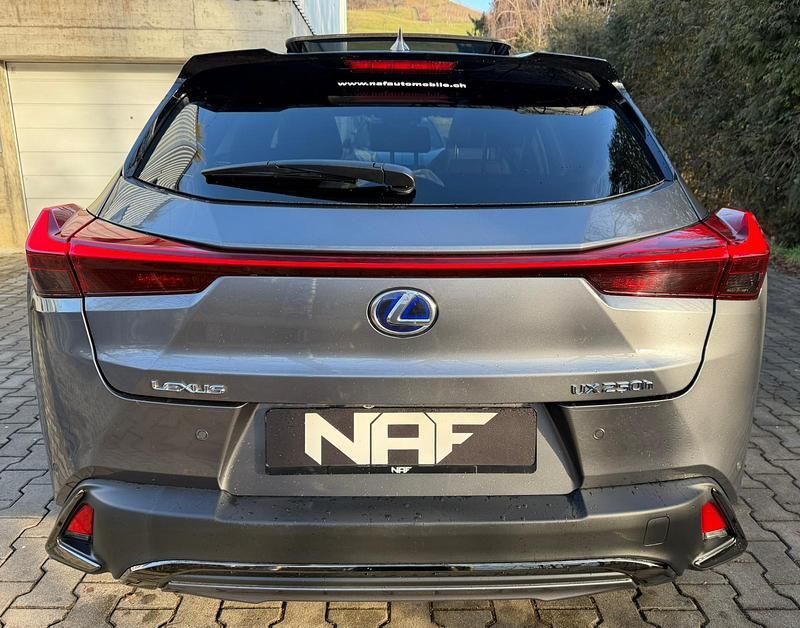 Gebraucht Lexus UX 250h Launch Edition 183 PS (134 kW) 2019 SUV
