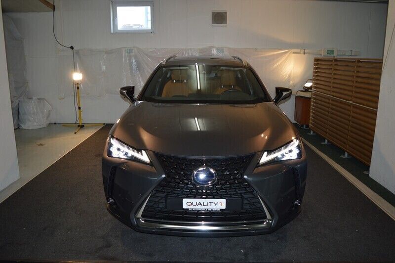 Gebraucht Lexus UX 300e 150 kW (204 PS) 2022 SUV