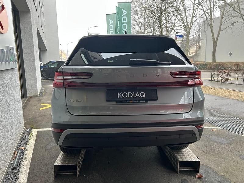 Neu Skoda Kodiaq Dynamic 204 PS (150 kW) 2025 Türkis SUV