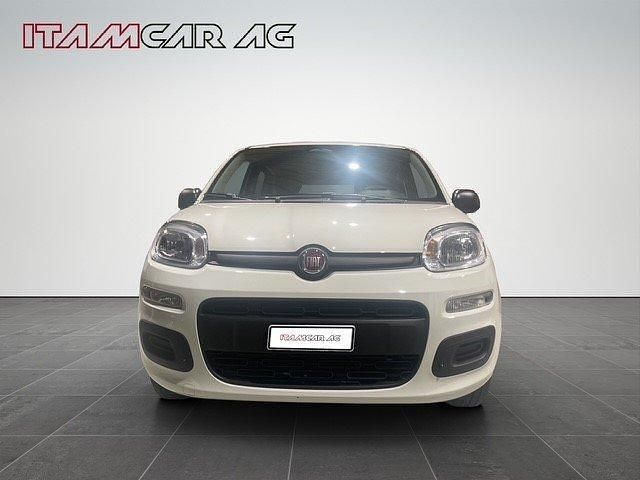 Gebraucht Fiat Panda City Life 70 PS (51 kW) 2025 Kleinwagen