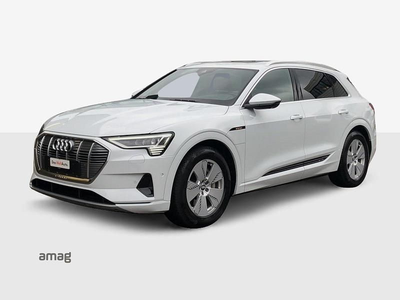 Gebraucht Audi e-tron Advanced 300 kW (408 PS) 2019 Gletscherweiss metallic SUV