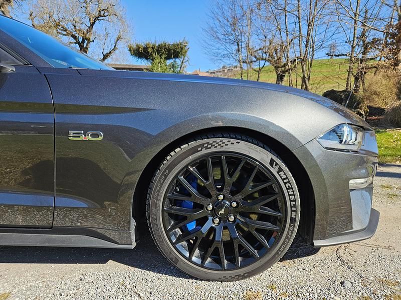 Gebraucht Ford Mustang GT Fastback 451 PS (331 kW) 2019