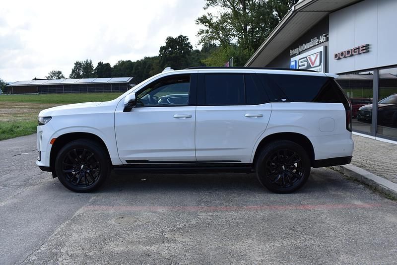 Gebraucht Cadillac Escalade 420 PS (308 kW) 2021 Weiss SUV