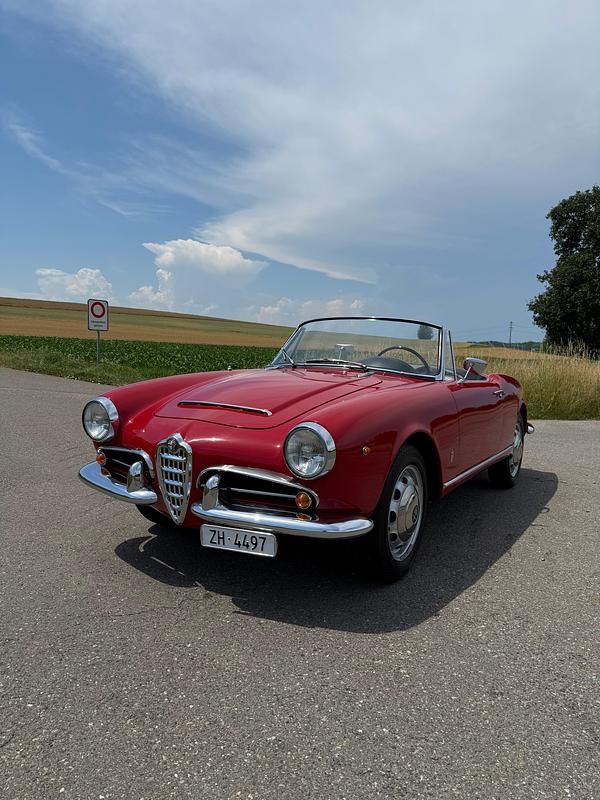 Gebraucht 1964 Alfa Romeo Spider Cabrio | CHF 67’000 - Bild 1/4