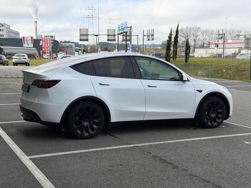 Gebraucht Tesla Model Y RWD 255 kW (347 PS) 2023 SUV