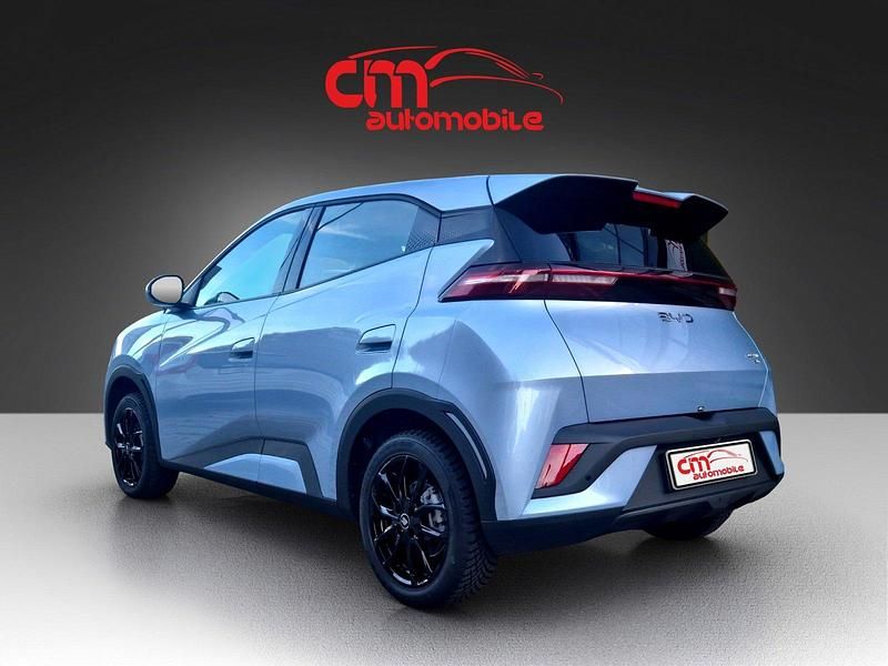 Neu BYD Dolphin Surf Active 64 kW (88 PS) 2025 Blau Kleinwagen