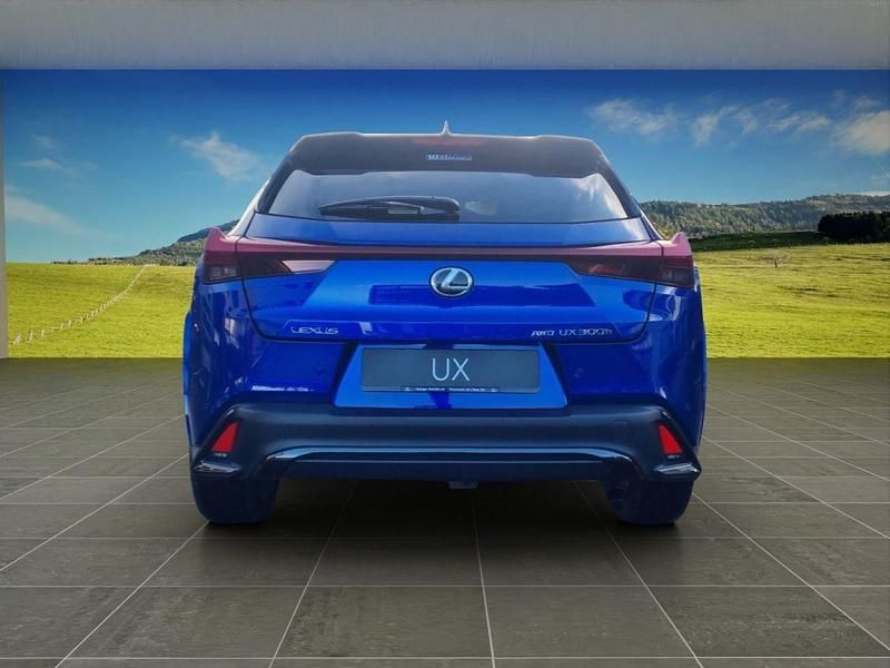 Gebraucht Lexus UX 300h Sport Line 199 PS (146 kW) 2024 SUV