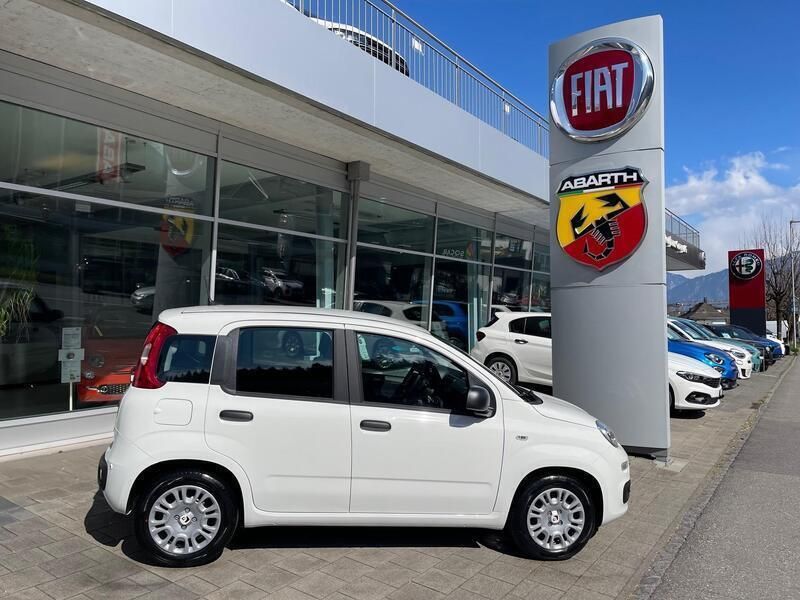 Weiss Neu 2025 Fiat Panda Classica Kleinwagen | CHF 17’280 (Teuer) - Bild 1/4