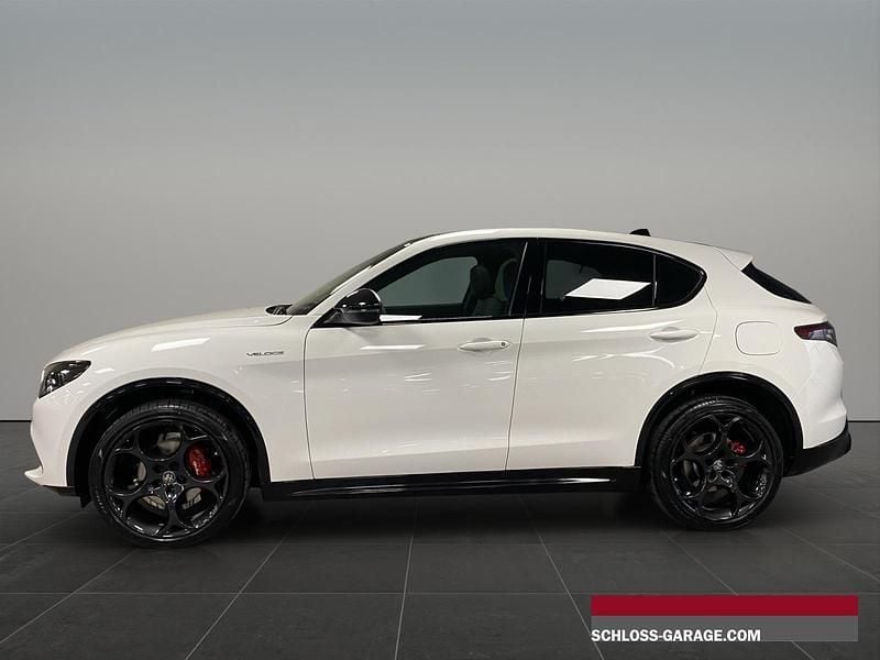 Neu Alfa Romeo Stelvio Premium 280 PS (205 kW) 2025 Weiss SUV