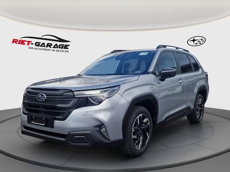 Gebraucht Subaru Forester 136 PS (100 kW) 2024 Grau SUV