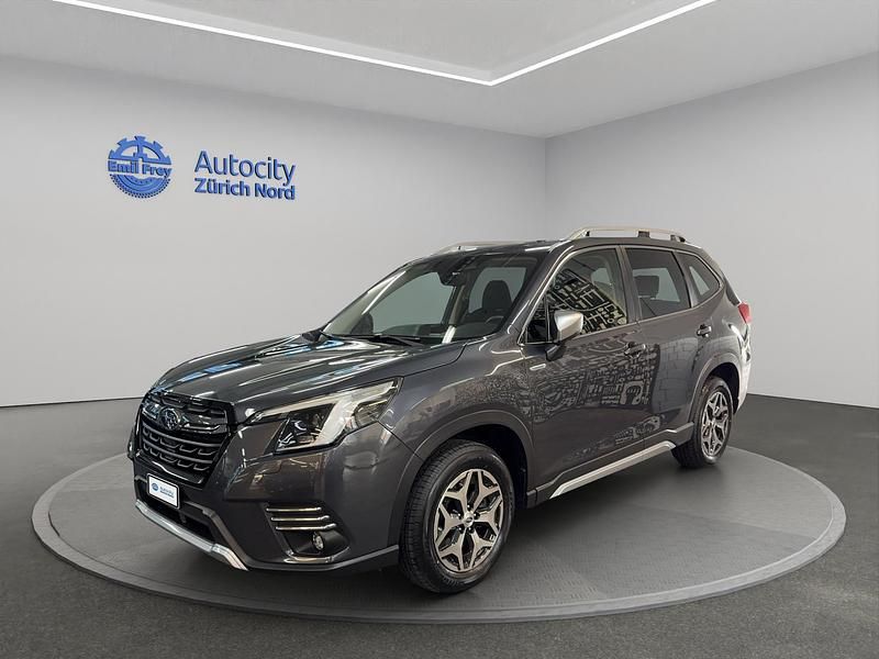Grau Gebraucht 2024 Subaru Forester SUV | CHF 33’999 (Guter Preis) - Bild 1/4