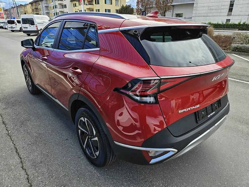 Gebraucht Kia Sportage 230 PS (169 kW) 2024 SUV