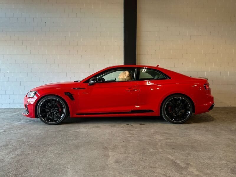 Gebraucht Audi RS5 510 PS (375 kW) 2017 Coupé