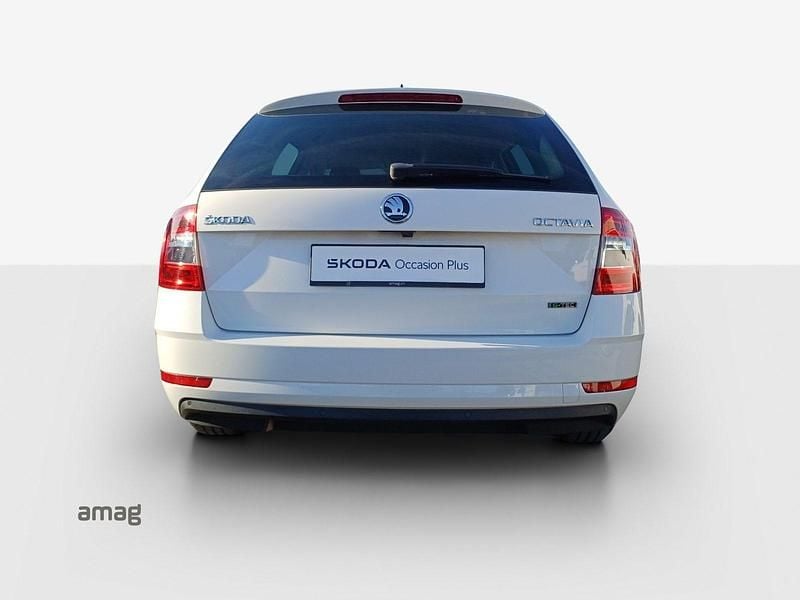 Gebraucht Skoda Octavia Ambition 130 PS (95 kW) 2019 Candy weiss, spezial Kombi