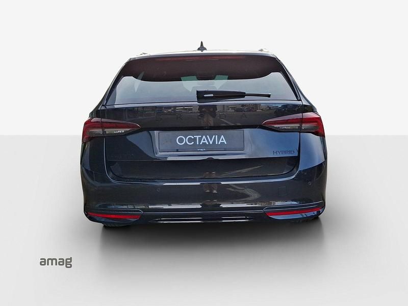 Neu Skoda Octavia Dynamic 150 PS (110 kW) 2025 Kombi