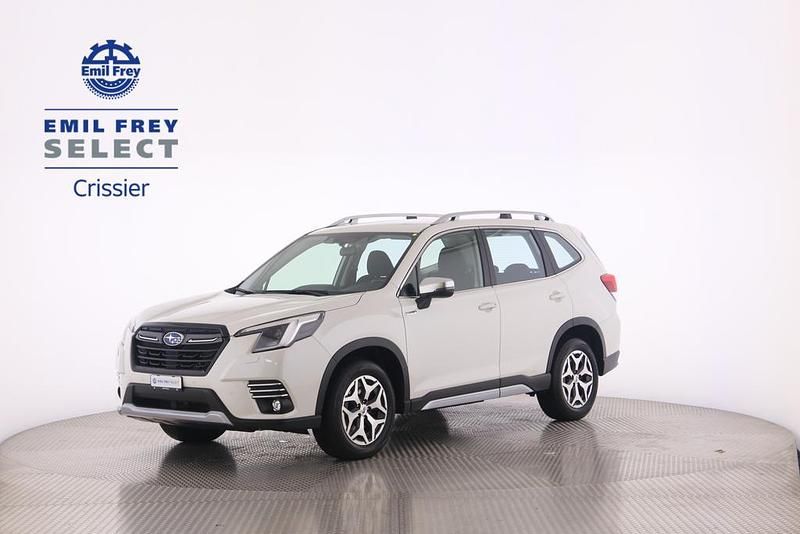 Weiss Gebraucht 2024 Subaru Forester SUV | CHF 31’900 (Fairer Preis) - Bild 1/4