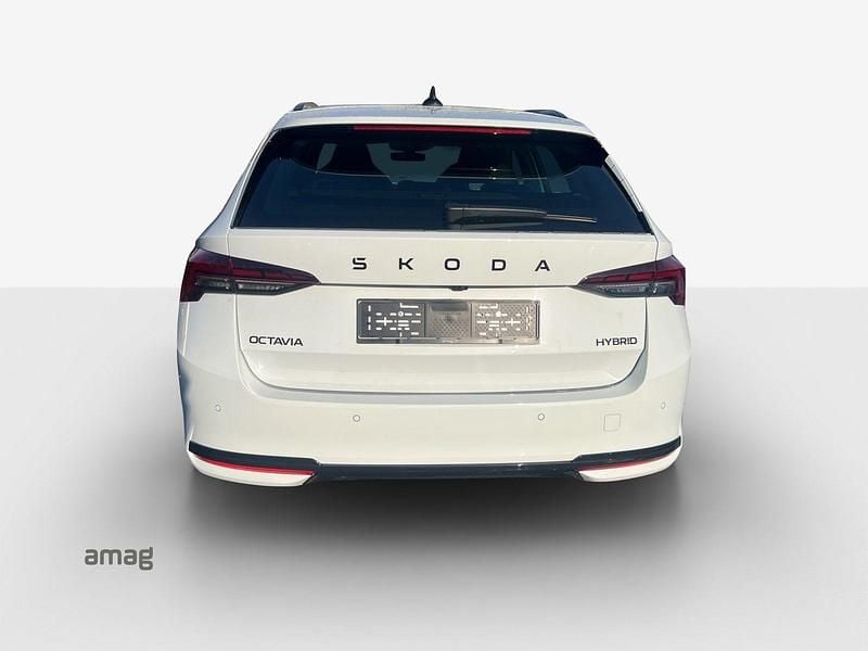 Neu Skoda Octavia Dynamic 204 PS (150 kW) 2026 Moon weiss, metallic Kombi